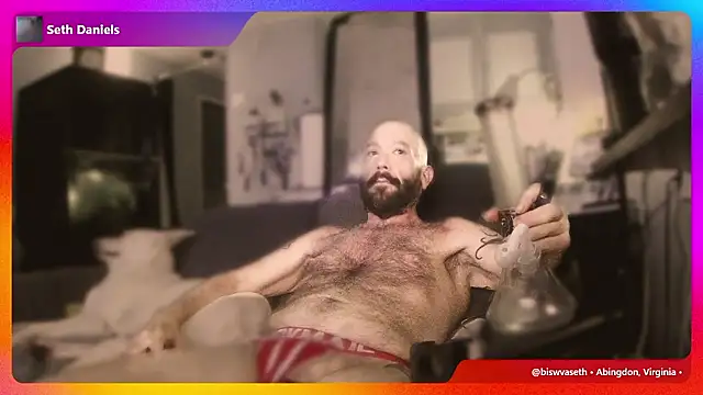 biswvaseth webcam