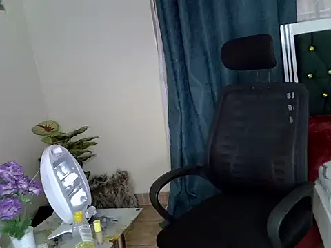 sheriiy webcam