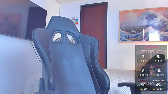 RJBarto webcam