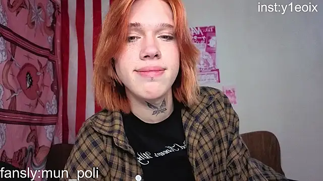 polimun webcam