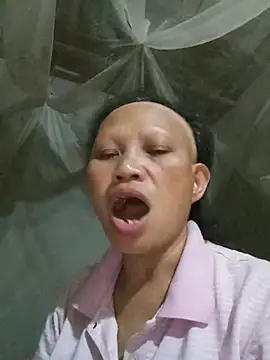 Ila-min webcam