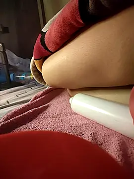 -Tara-a webcam