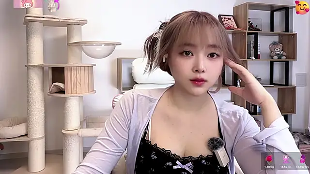 SakuraCat6 webcam