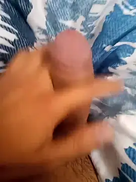 richwetdick webcam