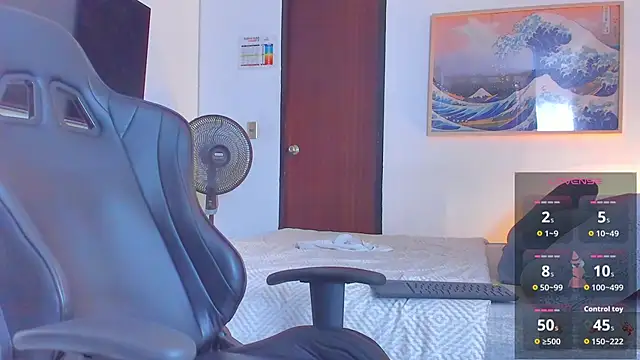 RJBarto webcam