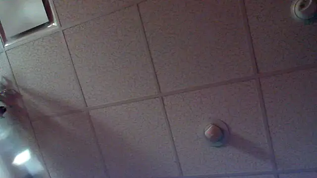 eurodiznee webcam