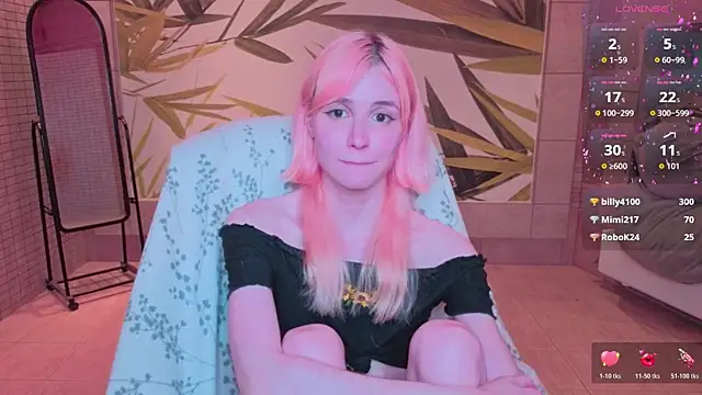 fleximona webcam