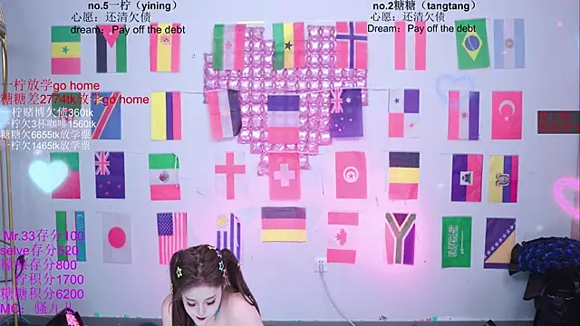 CCTW-100 webcam