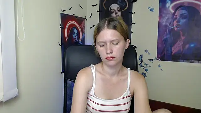 StellaCRL webcam