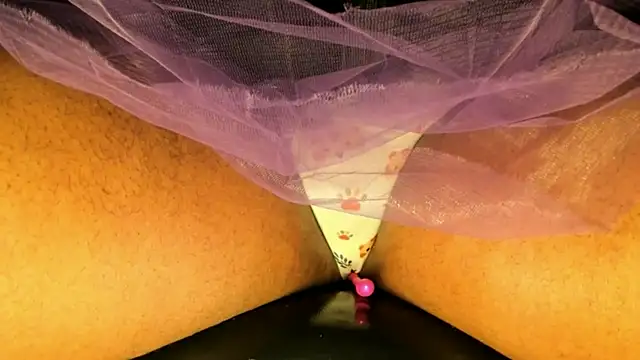 TS_MILK webcam