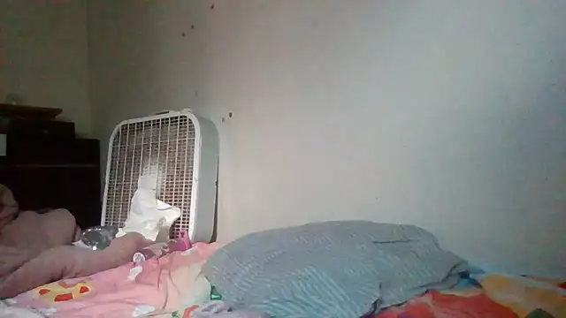 starlight1983 webcam