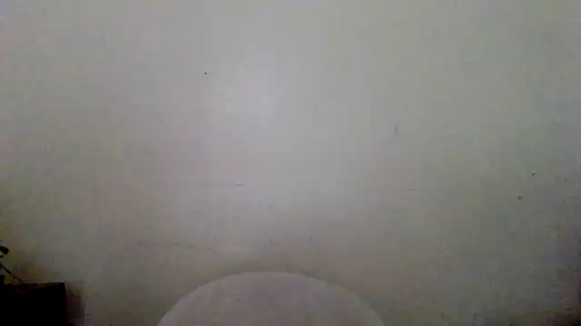 FUNINWV9 webcam