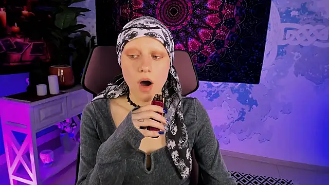 LidaDarknet webcam