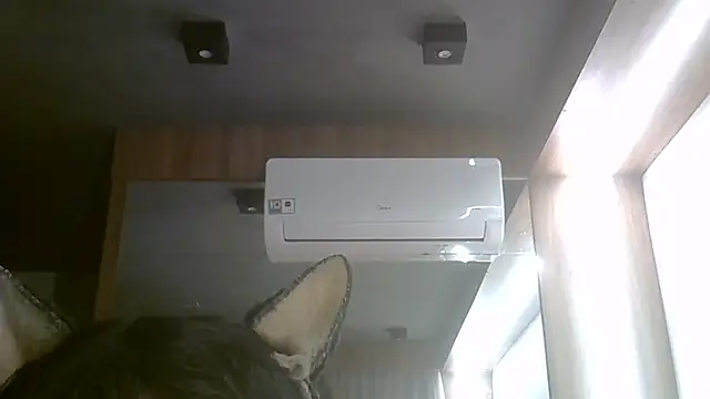 SkinnyKitten webcam