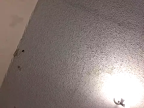247Srokin webcam