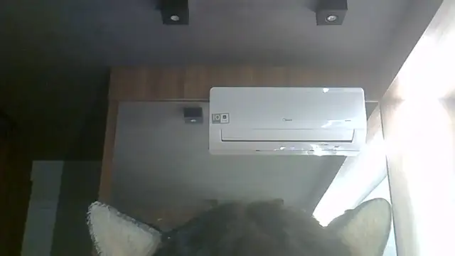 SkinnyKitten webcam