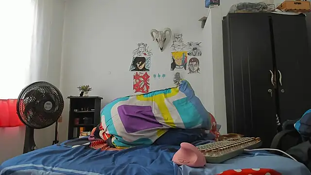 SonSett webcam
