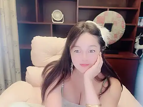 Hml-13 webcam