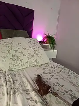 haileystone webcam