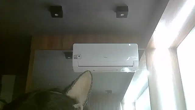 SkinnyKitten webcam