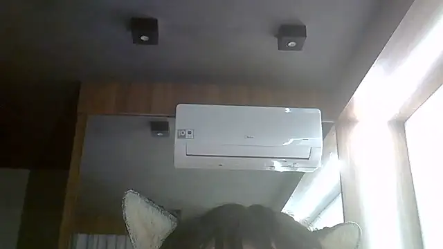 SkinnyKitten webcam