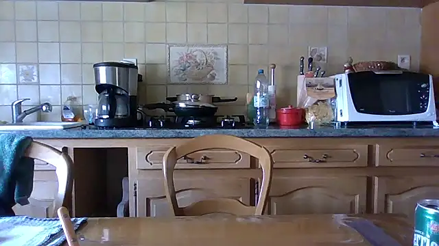 Helinetrav webcam