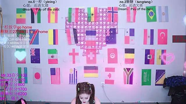 CCTW-100 webcam