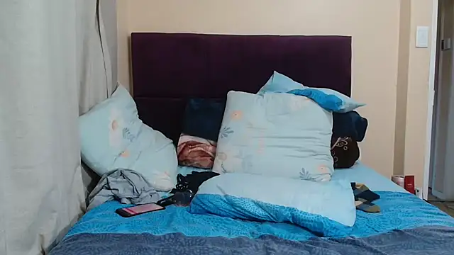 Bbw255 webcam