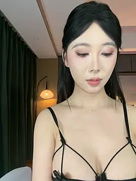 AYW-21 webcam