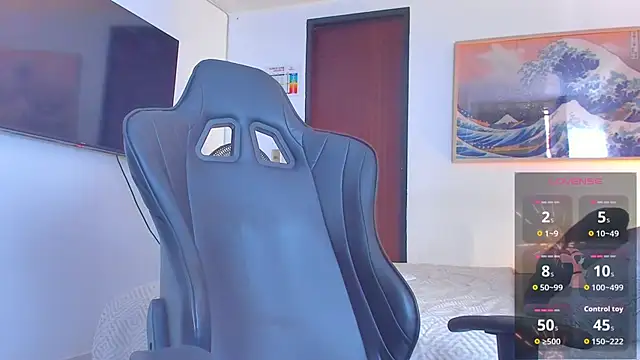 RJBarto webcam
