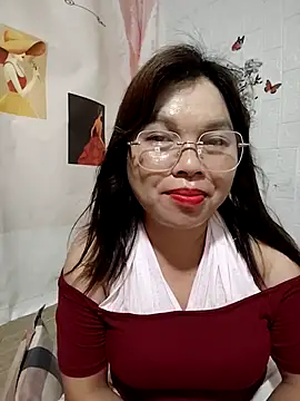 Cover-baa webcam