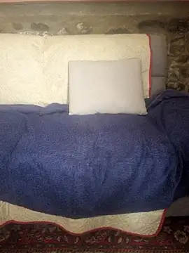 stellina8 webcam