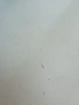 -Bitilu- webcam