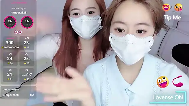 Dollar-2 webcam