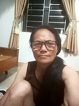 Vieekee webcam