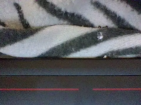Sexyvishyy webcam
