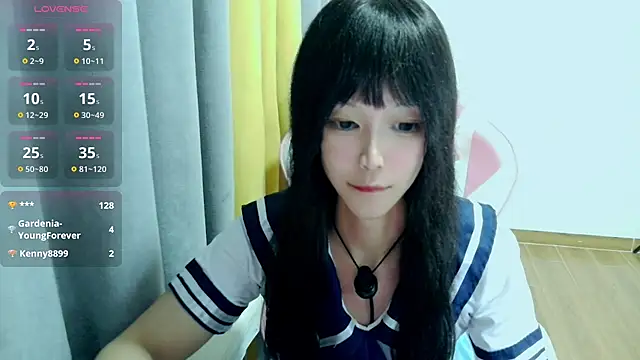 Aalala- webcam