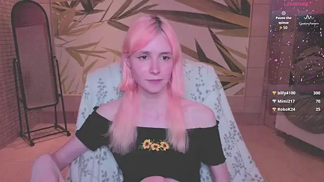 fleximona webcam