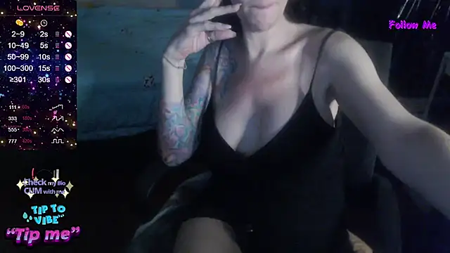 VenusX webcam