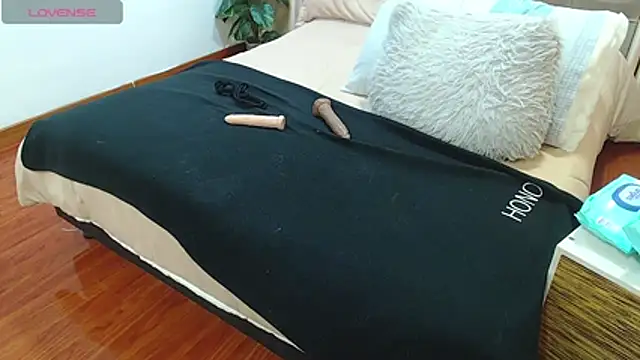 sasi_luna webcam
