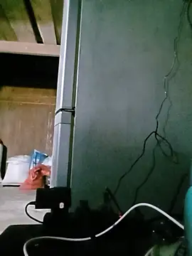 auro99 webcam