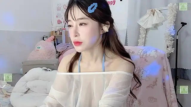 Yoyo_520 webcam