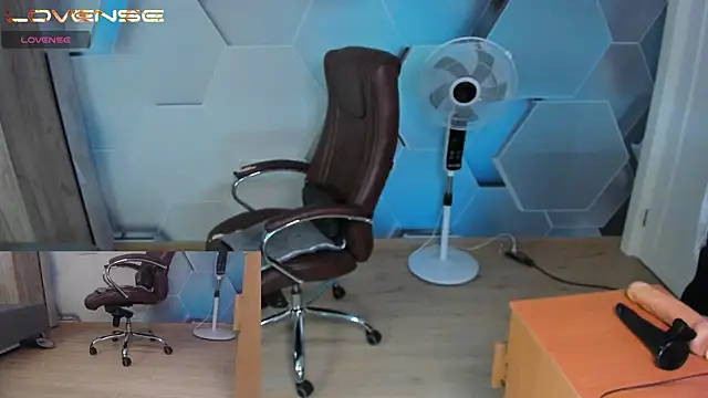 SteveTiger webcam