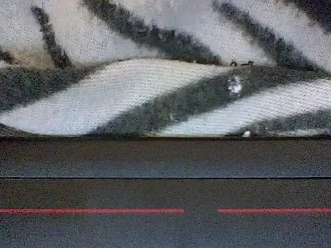 Sexyvishyy webcam