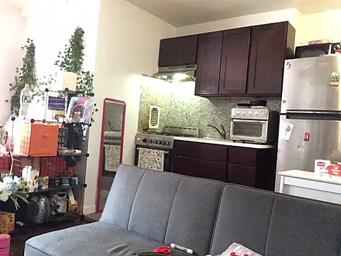 littyleesh1 webcam