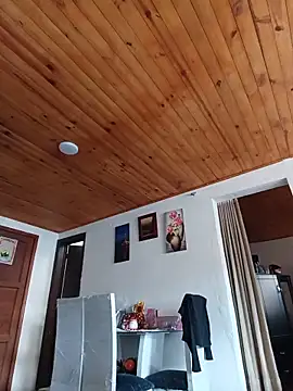 _Dr-Luna_1 webcam
