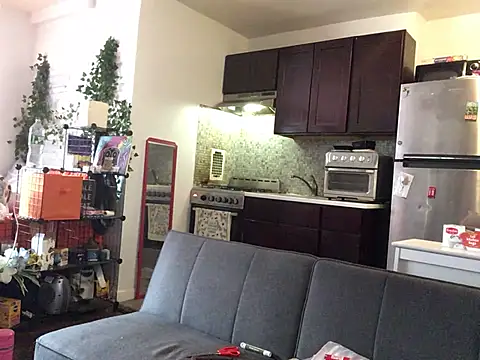 littyleesh1 webcam