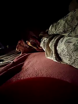 -Tara-a webcam