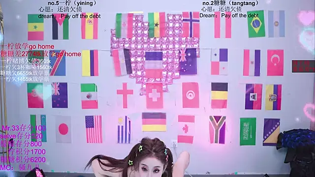 CCTW-100 webcam