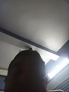 deshilnd webcam